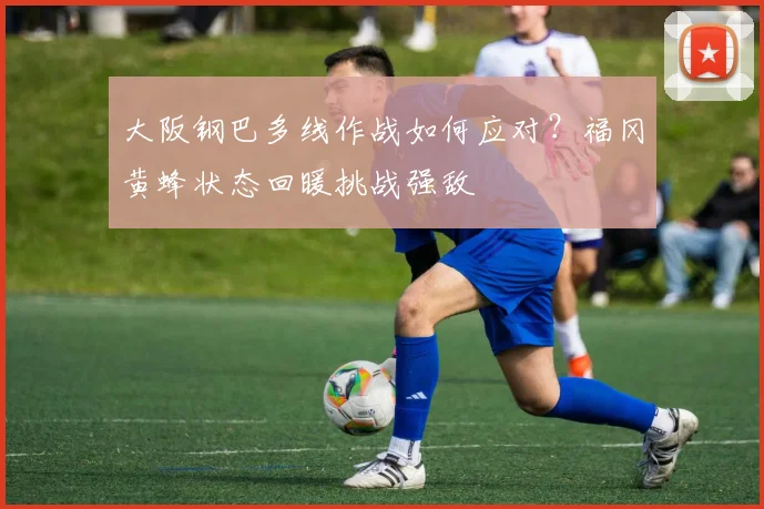 大阪钢巴多线作战如何应对?福冈黄蜂状态回暖挑战强敌
